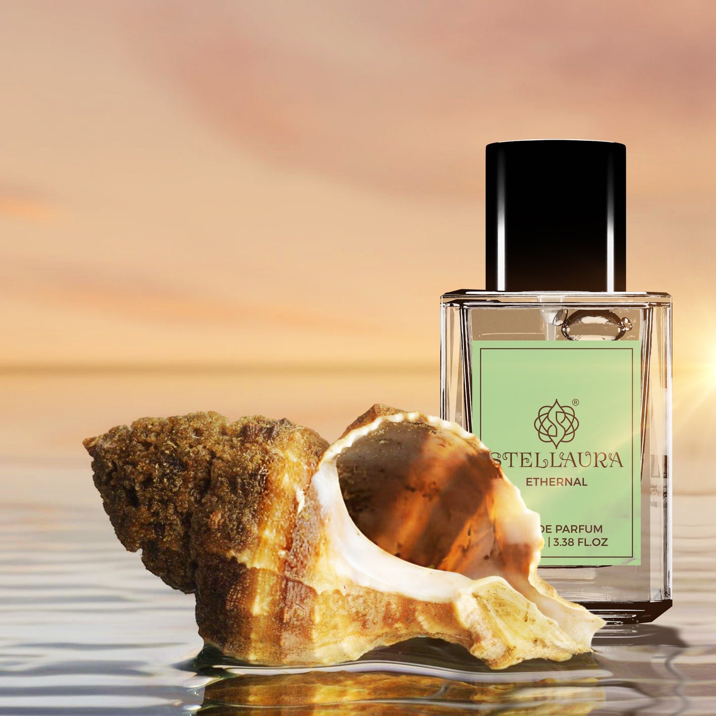 Stellaura Ethernal Perfume Perfume For Men 50ML